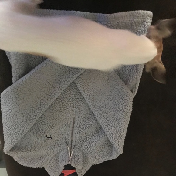 Showing - Picture 5 of 5